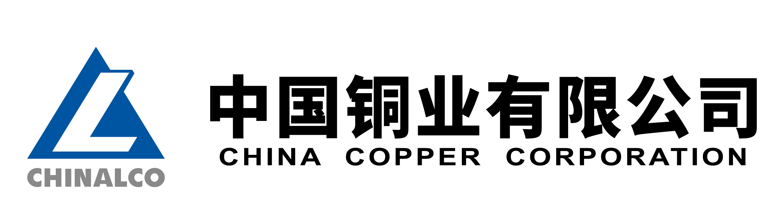 P020240118411417359137